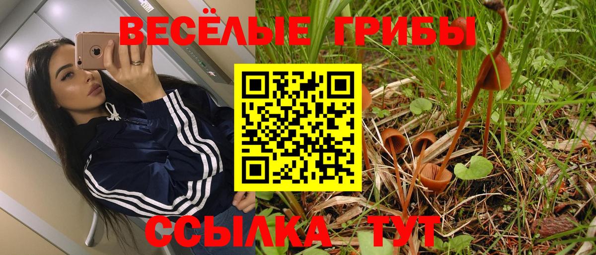 Псилоцибиновые грибы мухоморы  Вход с VPN  где купить наркоту  Белово  Псилоцибиновые грибы MAGIC MUSHROOMS 