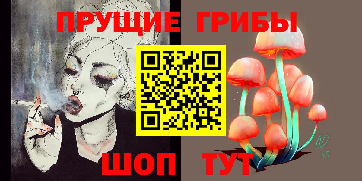 Псилоцибиновые грибы GOLDEN TEACHER Белово